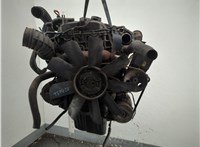  Натяжитель приводного ремня SsangYong Rexton 2001-2007 11977423 #1