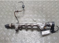 03L130089J Рампа (рейка) топливная Volkswagen Crafter 2006-2016 21472189 #1
