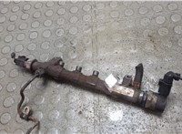 03L130089J Рампа (рейка) топливная Volkswagen Crafter 2006-2016 21472189 #5