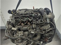  Натяжитель приводного ремня Citroen C4 2010-2020 11978161 #5