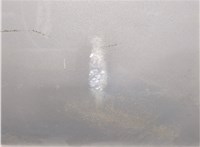 3B9839461A, 1C0959811 Стеклоподъемник электрический Volkswagen Passat 5 2000-2005 11978694 #15