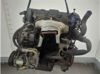  Натяжитель приводного ремня Citroen C4 2004-2010 11980132 #4
