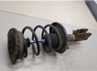  Амортизатор подвески Renault Megane 3 2009-2016 22169652 #2