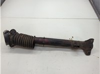 A124320303064, A1243205230 Амортизатор подвески Mercedes 124 E 1993-1995 22175508 #1