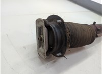 A124320303064, A1243205230 Амортизатор подвески Mercedes 124 E 1993-1995 22175508 #2