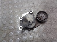  Натяжитель приводного ремня Citroen DS3 2009-2016 21478175 #4