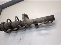  Амортизатор подвески Ford Transit 2006-2014 22188493 #3