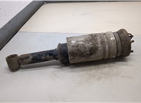  Амортизатор подвески Land Rover Discovery 3 2004-2009 22186181 #1