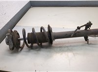  Амортизатор подвески Fiat Ducato 2006-2014 22193043 #1