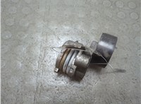 11287549873 Натяжитель приводного ремня BMW X6 E71 2007-2014 21482400 #1