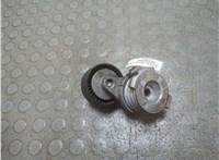 11287549873 Натяжитель приводного ремня BMW X6 E71 2007-2014 21482400 #5