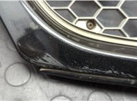 10310165 Решетка радиатора Chevrolet Trans Sport 21483412 #7