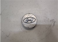 529602s250 Колпачок литого диска Hyundai Elantra 2010-2014 8226684 #1