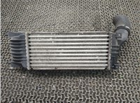 Радиатор интеркулера Peugeot 407 8249036 #1