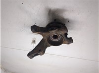 517162E100, 517502E900 Ступица (кулак, цапфа) Hyundai Tucson 1 2004-2009 8262342 #7
