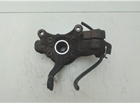 1K0407256AA, 1K0407621F Ступица (кулак, цапфа) Volkswagen Touran 2003-2006 8285672 #6