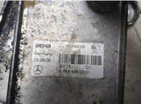 A6461880301 Теплообменник Mercedes CLK W209 2002-2009 8329953 #2