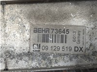 09129519dx Радиатор интеркулера Opel Astra G 1998-2005 8337567 #4