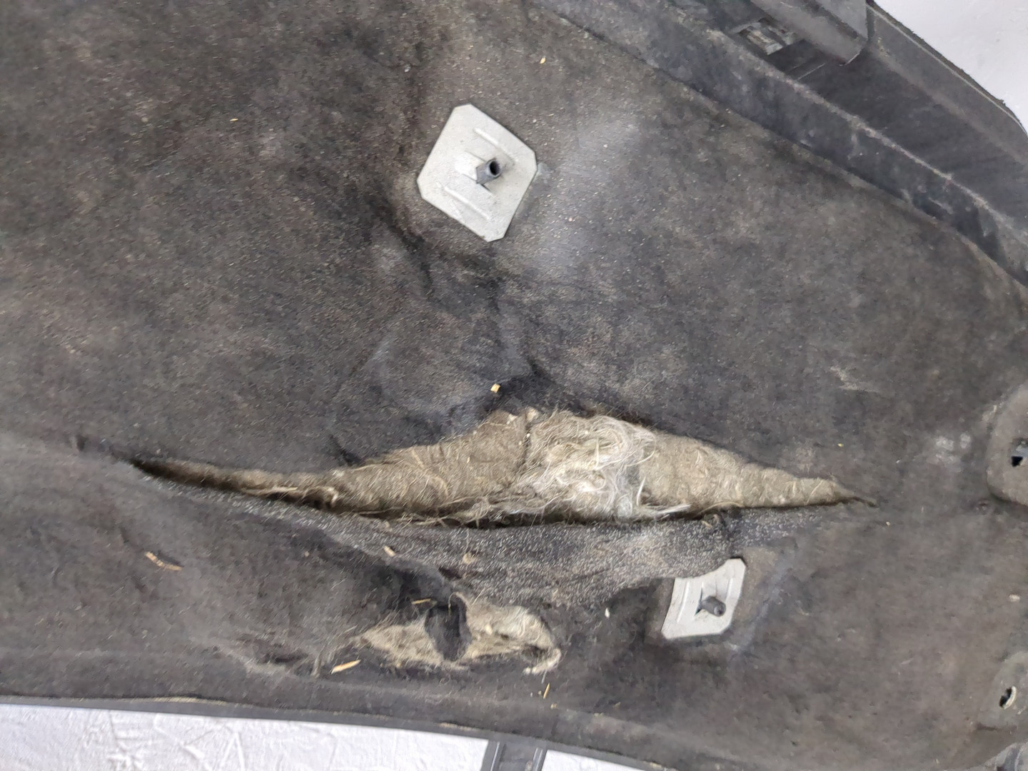 Защита картера