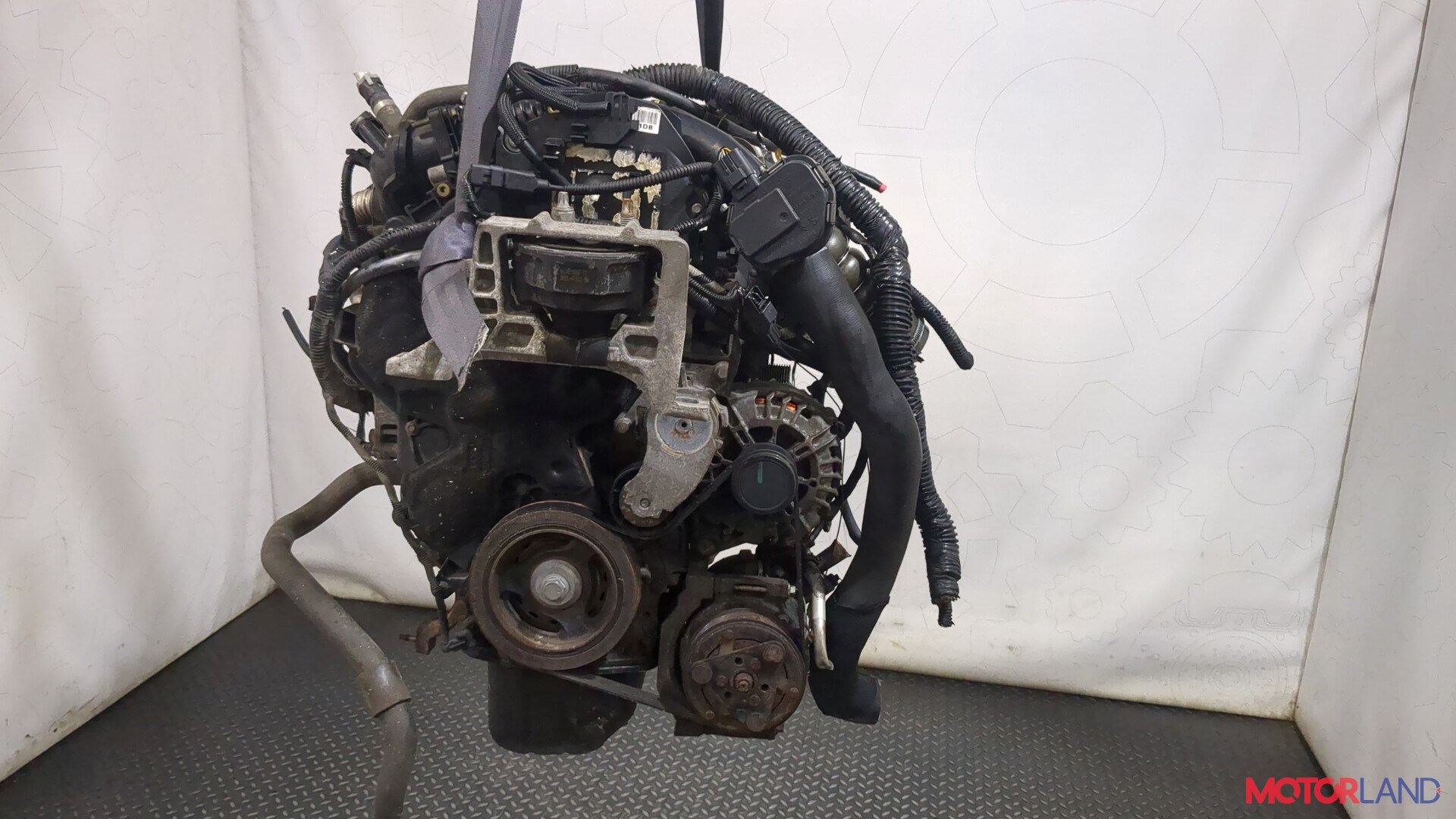 Дизельный двигатель Ford Focus – диагностика и ремонт, поиск запчастей дизеля Форд Фокус |