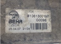81061300231 Радиатор интеркулера Man 4-Serie TGA 2000-2008 8419098 #5