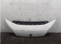 1612246980 Капот Peugeot Boxer 2014- 8423311 #1
