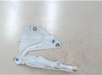 PAD823296, 9J1823296CY Петля капота Porsche Taycan 2019 – 8455049 #5