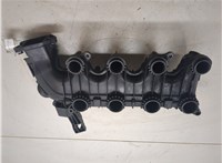  Коллектор впускной Peugeot Partner 2002-2008 8501876 #5
