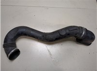 5316519 Патрубок корпуса воздушного фильтра Citroen Jumper (Relay) 2014-2025 8503703 #1