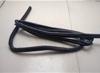 769218H300 Уплотнитель Nissan X-Trail (T30) 2001-2006 8529340 #4