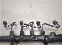 a6510700495 Рампа (рейка) топливная Mercedes Sprinter 2006-2018 8553931 #1
