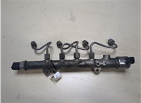 a6510700495 Рампа (рейка) топливная Mercedes Sprinter 2006-2018 8553931 #2