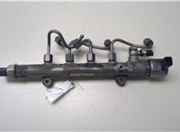a6510700495 Рампа (рейка) топливная Mercedes Sprinter 2006-2018 8555707 #1