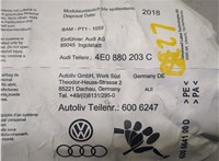 4E0880203C Подушка безопасности переднего пассажира Audi A8 (D3) 2002-2005 8560373 #6