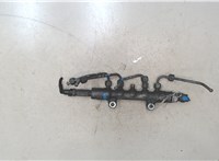 1497165, 6C1Q9H321AB, 1497163, 8C1Q9D280AA Рампа (рейка) топливная Ford Transit 2006-2014 8606606 #1