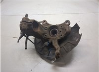 1K0407255AA, 1K0407621F Ступица (кулак, цапфа) Volkswagen Tiguan 2007-2011 8612122 #3