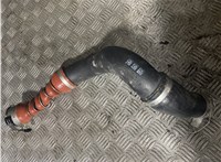 MGW00403CTE Патрубок интеркулера BMW 1 F40 2019-2024 8640328 #1