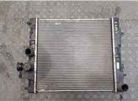 214101F520 Радиатор охлаждения двигателя Nissan Micra K11E 1992-2002 8658241 #1