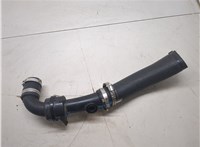 L1MZ6C646B, L1MZ6C646C Патрубок интеркулера Ford Explorer 2019-2025 8669384 #2