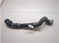 1085614S0, 144608356R Патрубок интеркулера Mercedes Citan 2012-2021 8684761 #6