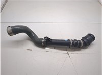 1085614S0, 144608356R Патрубок интеркулера Mercedes Citan 2012-2021 8684761 #7