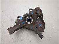 51759679 Ступица (кулак, цапфа) Fiat Doblo 2005-2010 8687361 #5