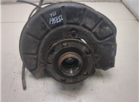 1K0407255AA, 1K0407621F Ступица (кулак, цапфа) Volkswagen Tiguan 2007-2011 8736994 #4