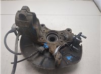 1K0407255AA, 1K0407621F Ступица (кулак, цапфа) Volkswagen Tiguan 2007-2011 8736994 #7