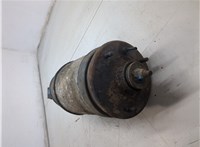 RPD500890, RPD501030 Амортизатор подвески Land Rover Range Rover Sport 2005-2013 8737124 #4