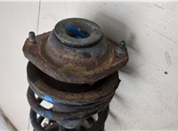 4160260J50, 4111160J00 Амортизатор подвески Suzuki Ignis 2000-2004 8764038 #3