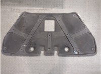96990258 Обшивка капота Chevrolet Aveo (T250 / 255) 2008-2011 8785053 #2