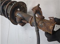 54303CB025, 54010CA102 Амортизатор подвески Nissan Murano 2002-2008 8797667 #7