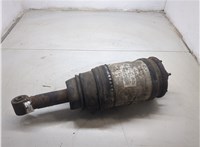 RPD501030 Амортизатор подвески Land Rover Range Rover Sport 2005-2013 8829361 #6