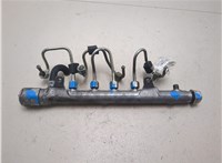 03L130089AA Рампа (рейка) топливная Volkswagen Passat 7 2010-2015 Европа 8849212 #8